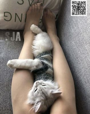 雷火剑ova番剧初恋时间第五集