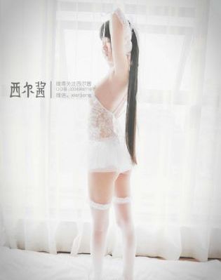 熊出没动画片全集100集免费观看