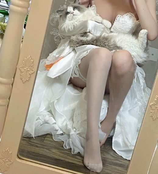 新浪美股