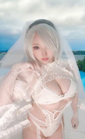 战狼电视剧全集免费观看完整版